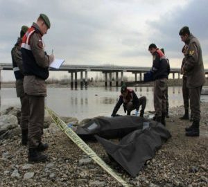 7e7e342b-8089-4496-bed3-eeded564220d