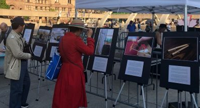 Art-Contest-Exhibition-in-Canada